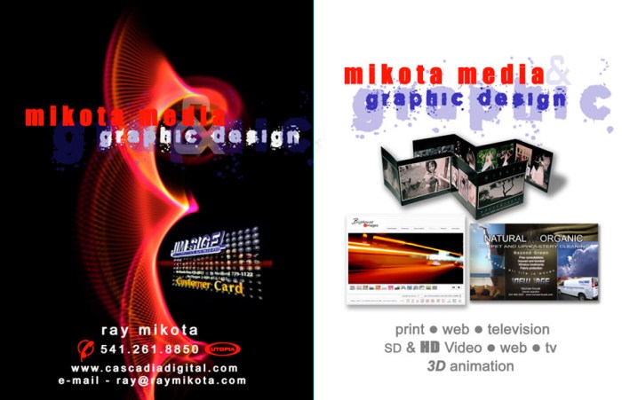 Mikota Design Group